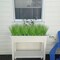 Artificial Plants 17" Artificial Onion Grass Bushes UV Resistant Plants Faux Shrubs Fake Wheat Grass Greenery Topiaries for Bathroom Home Office House Decorations (4 Pcs/Green)